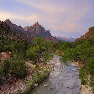 Dawn Gallery: United States of America, Utah, Zion National Park
