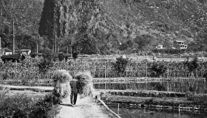 Images Dated 2007 November: 10 Nov 2007 Collection